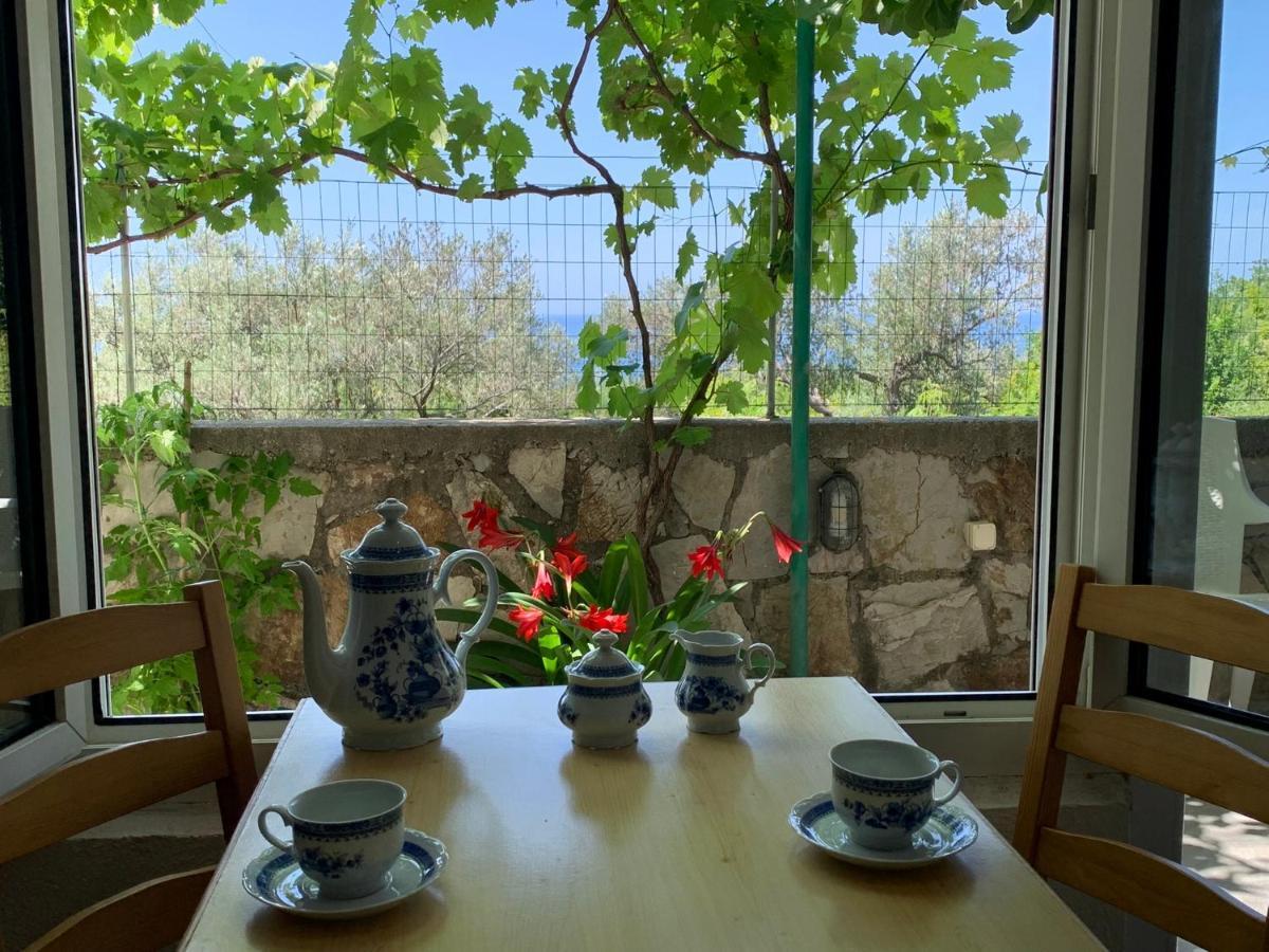Apartments Mirian Petrovac Luaran gambar