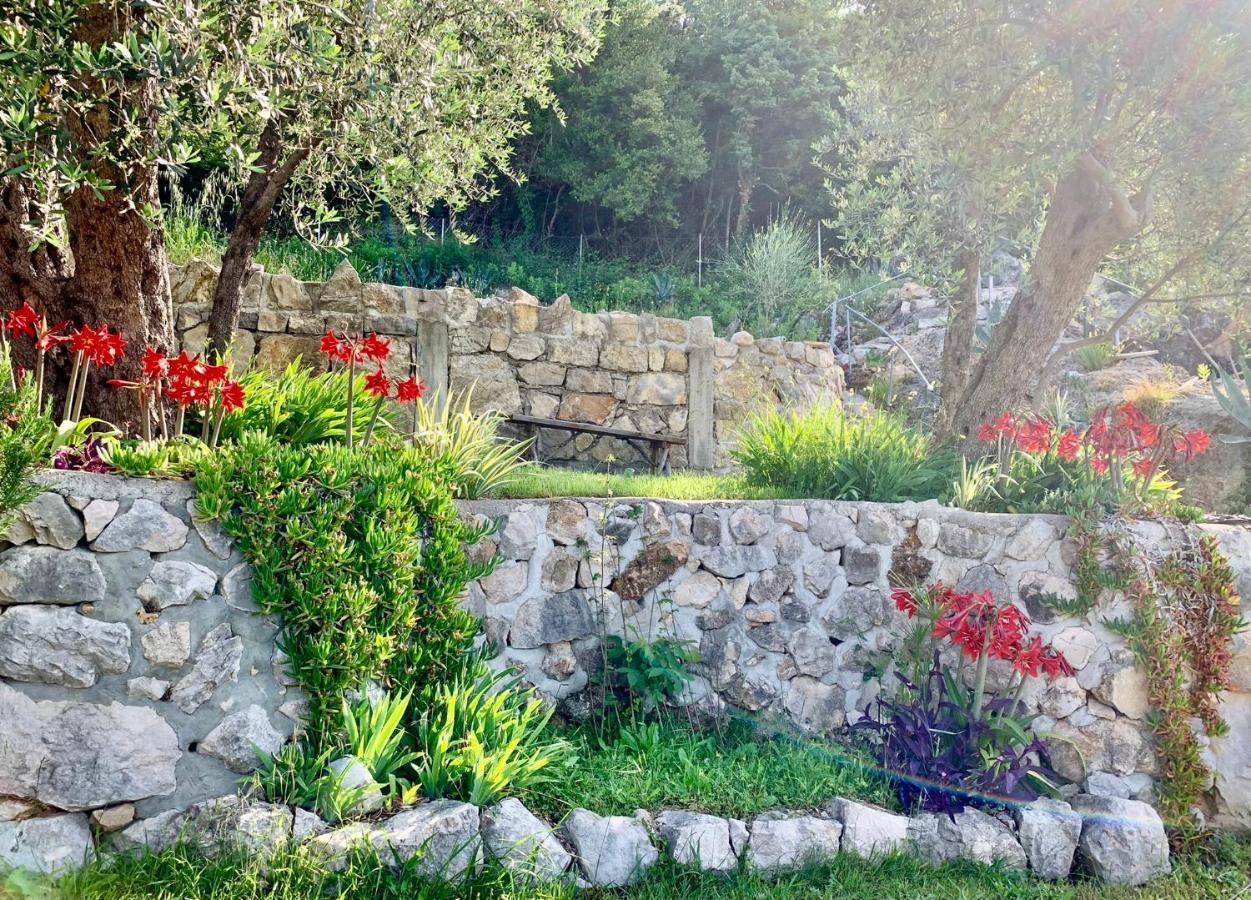 Apartments Mirian Petrovac Luaran gambar
