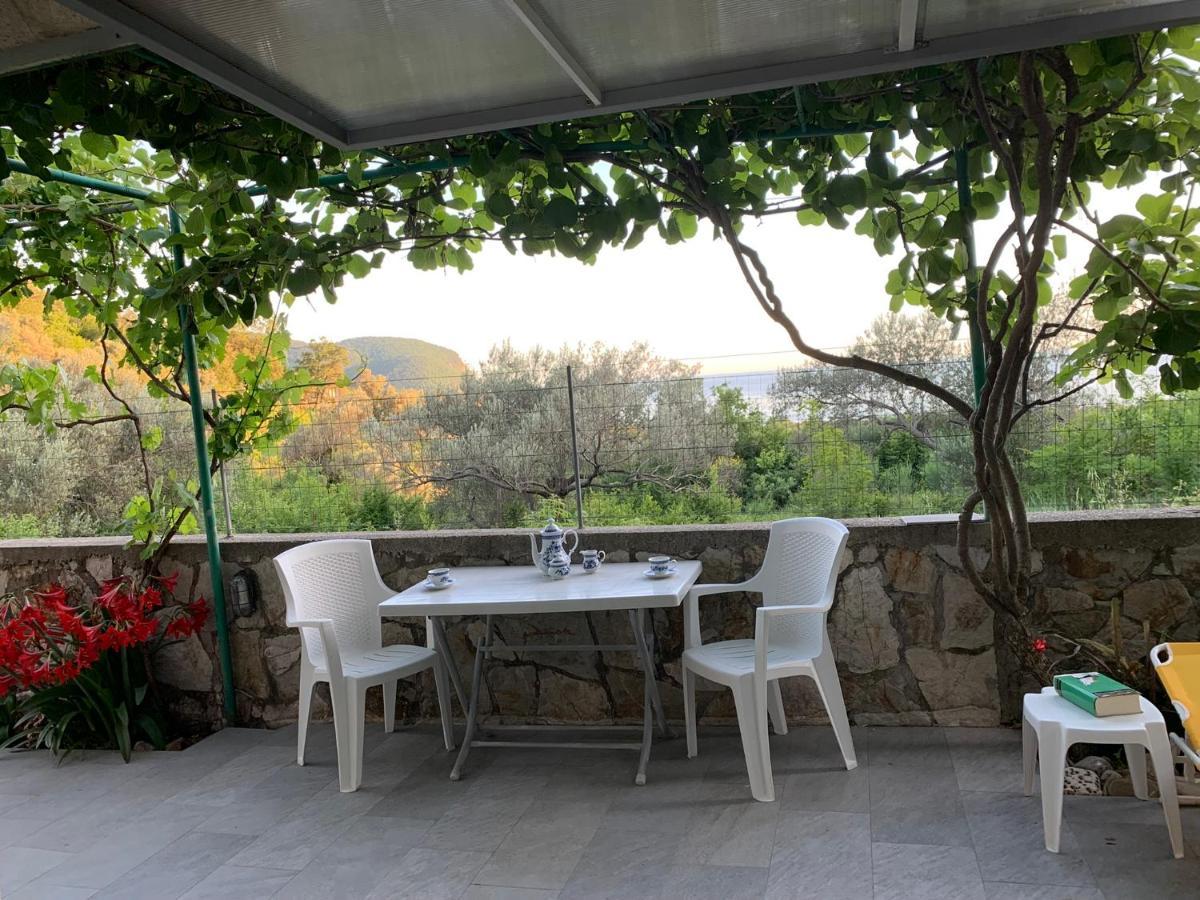 Apartments Mirian Petrovac Luaran gambar