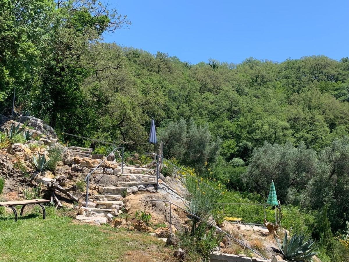 Apartments Mirian Petrovac Luaran gambar