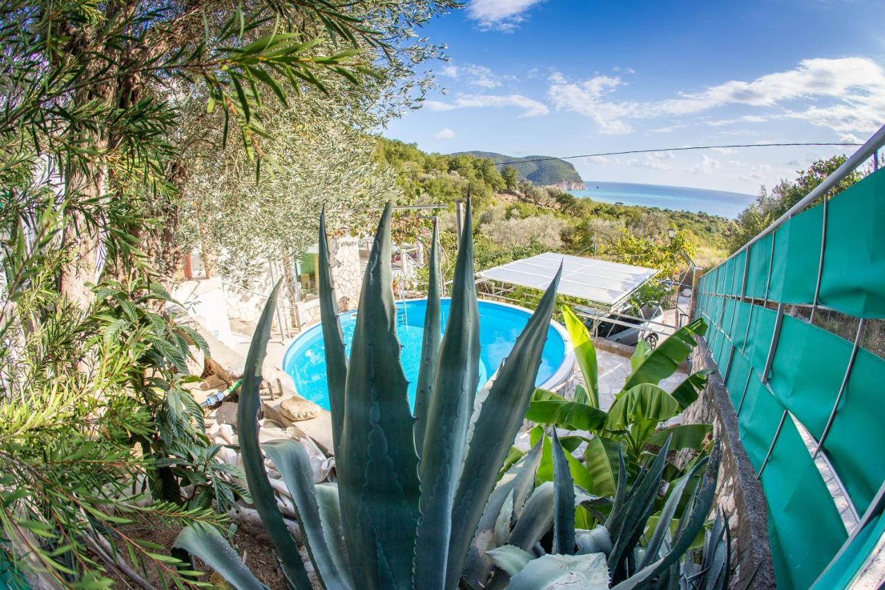 Apartments Mirian Petrovac Luaran gambar