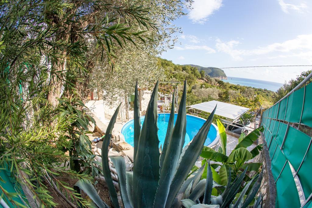 Apartments Mirian Petrovac Luaran gambar