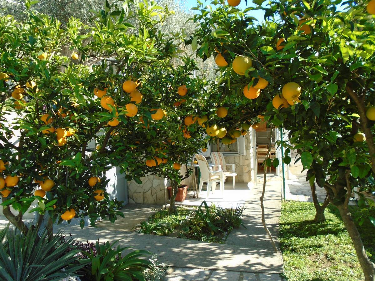 Apartments Mirian Petrovac Luaran gambar